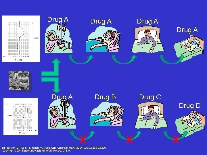 Drug A Drug A Drug B Drug C Drug D X X X Bergstrom