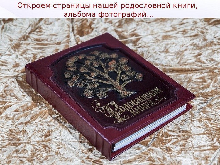   Откроем страницы нашей родословной книги,  альбома фотографий… 