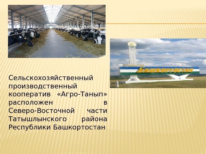 Сельскохозяйственный производственный кооператив  «Агро-Танып»  расположен в Северо-Восточной части Татышлынского района Республики Башкортостан