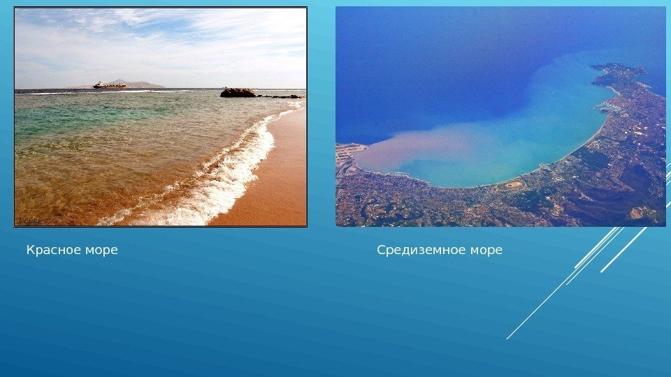 2 моря на 4 будет 4. Черное море красное море Средиземное море желтое море. Красное и Средиземное море. Черное и Средиземное море.