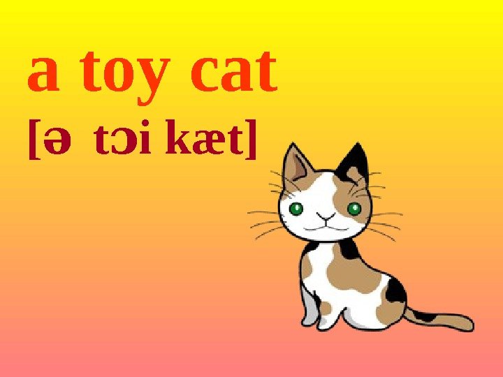 a toy cat [ə  t i ɔ kæt] 