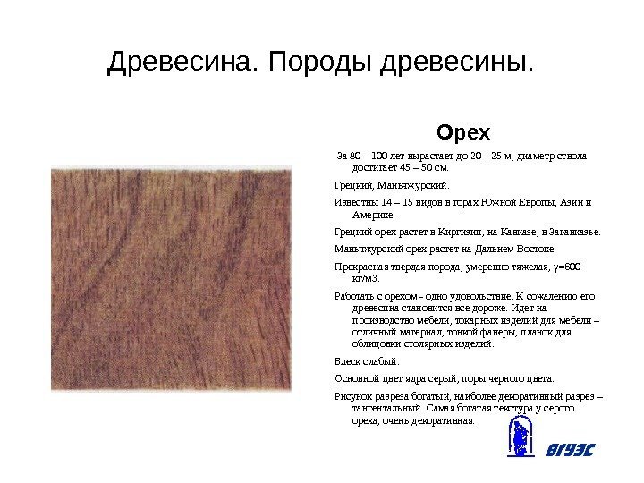 Древесина. Породы древесины.     Орех  За 80 – 100 лет