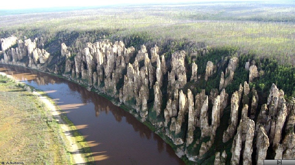 Проект ленские столбы