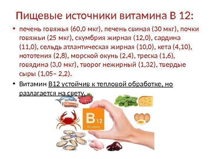 Пищевые источники витамина В 12:  • печень говяжья (60, 0 мкг), печень свиная