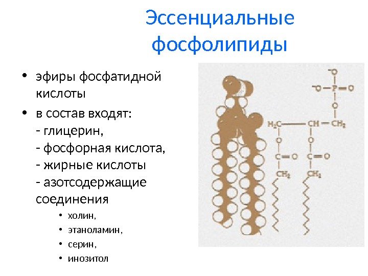 Эссенциальные фосфолипиды • эфиры фосфатидной кислоты • в состав входят:  - глицерин, -