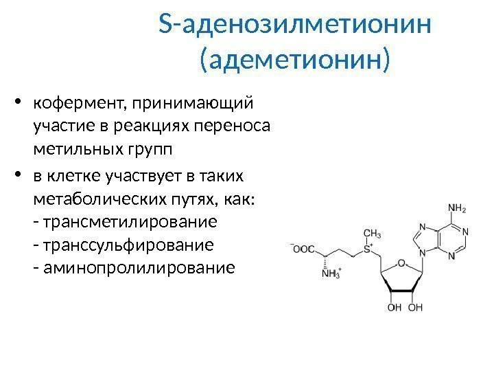 S-аденозилметионин (адеметионин) • кофермент, принимающий участие в реакциях переноса метильных групп  • в