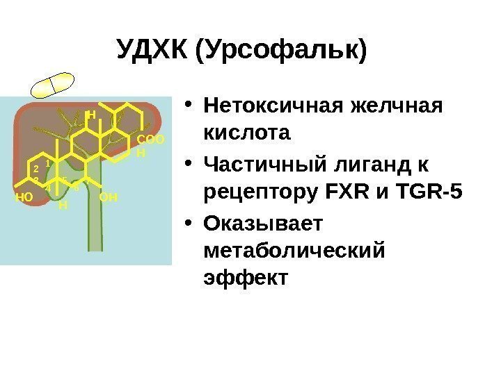   УДХК  (Урсофальк) • Нетоксичная желчная кислота • Частичный лиганд к рецептору