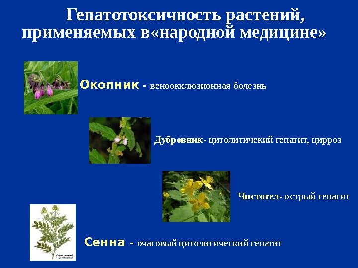   Гепатотоксичность растений,  применяемых  в «народной медицине»  Дубровник - 