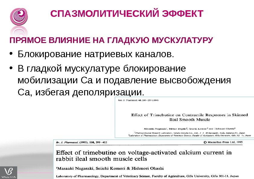 СПАЗМОЛИТИЧЕСКИЙ ЭФФЕКТ ПРЯМОЕ ВЛИЯНИЕ НА ГЛАДКУЮ МУСКУЛАТУРУ • Блокирование натриевых каналов.  • В