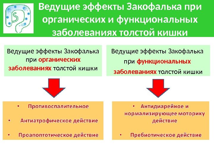 Ведущие эффекты Закофалька при органических и функциональных заболеваниях толстой кишки Ведущие эффекты Закофалька при