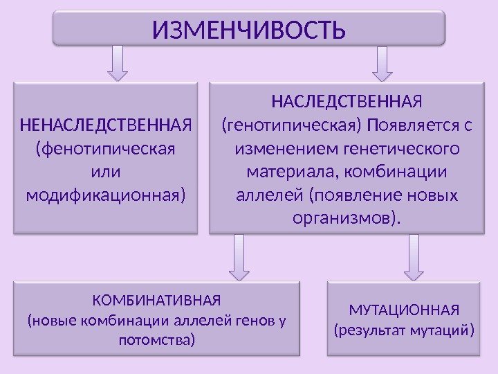 Ненаследственная изменчивость примеры картинки