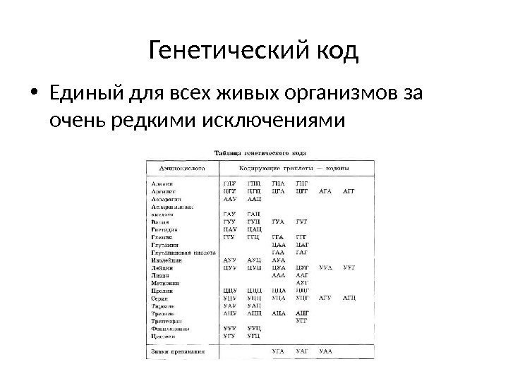 Генетический код • Единый для всех живых организмов за очень редкими исключениями 