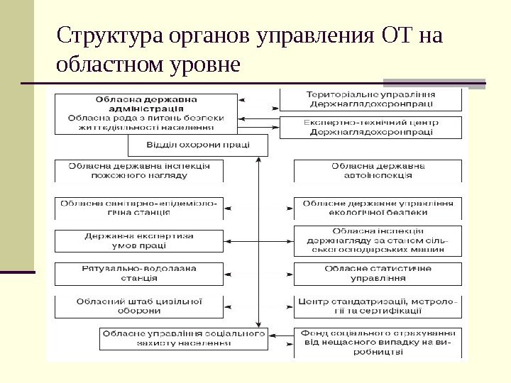 Структура органов управления ОТ на областном уровне 