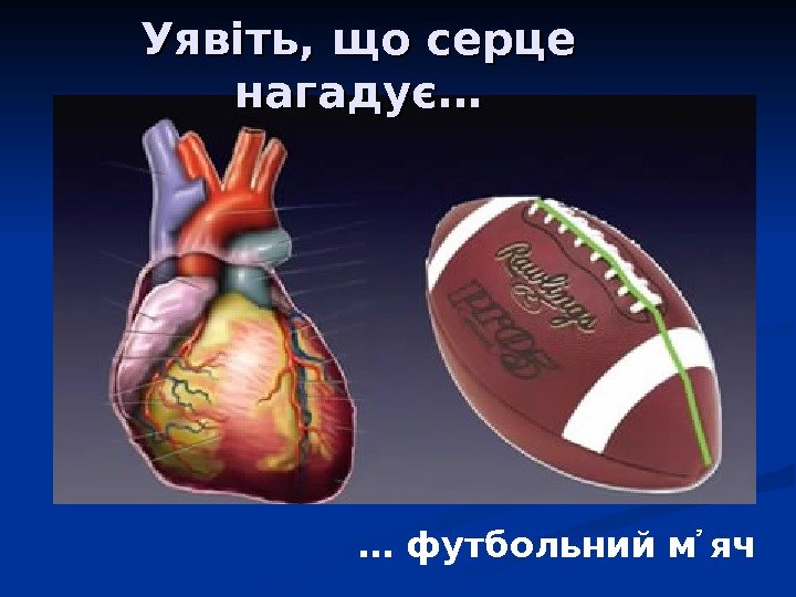 Уявіть, що серце нагадує… … футбольний м яч 