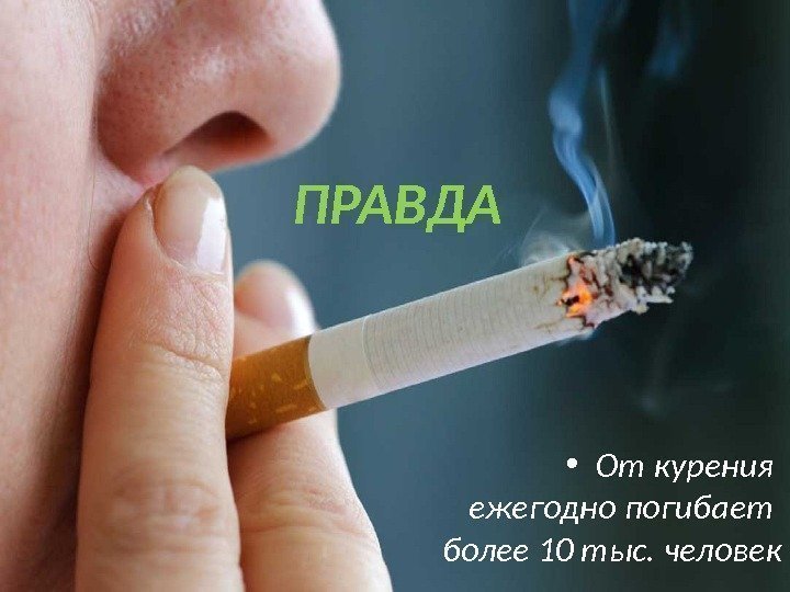  • От курения ежегодно погибает более 10 тыс. человек. ПРАВДА 