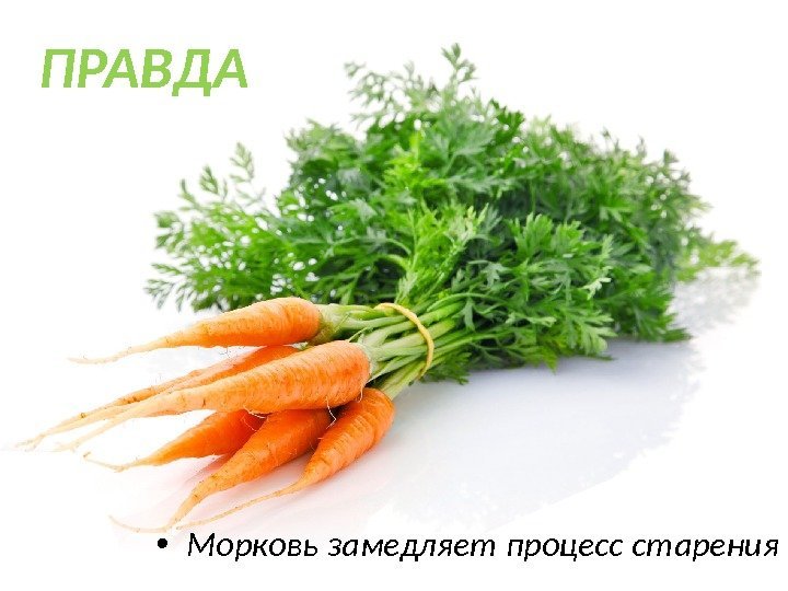  • Морковь замедляет процесс старения. ПРАВДА 