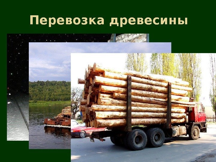 Перевозка древесины 