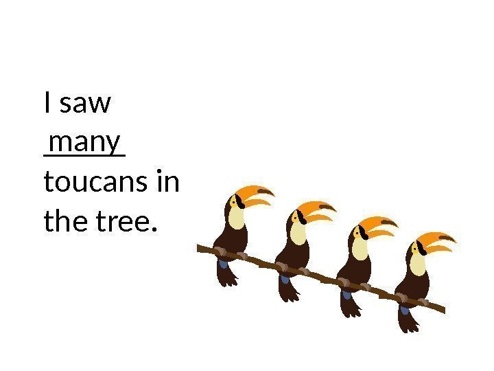 I saw _____ toucans in the tree. many 