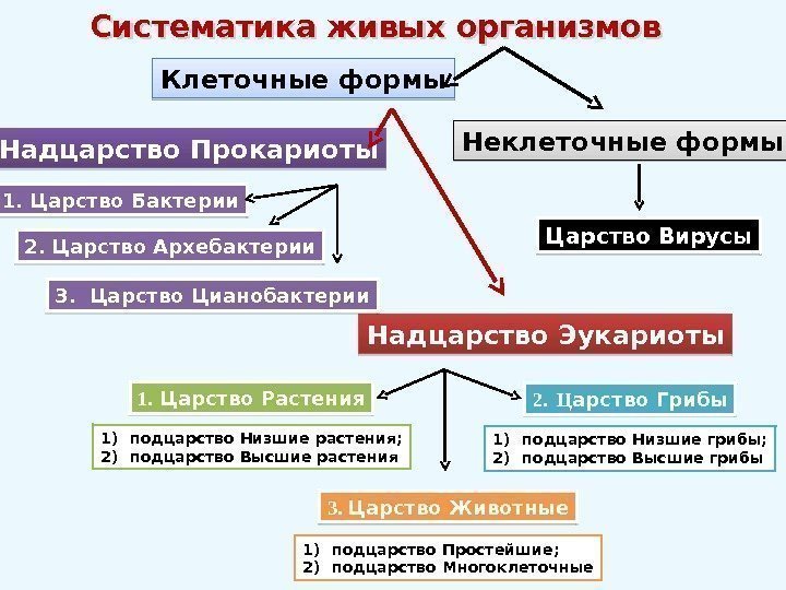 Надцарство прокариоты