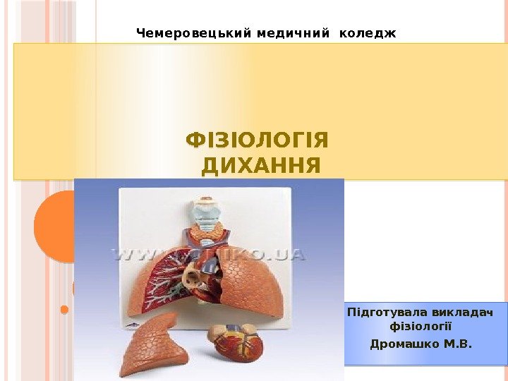 ФІЗІОЛОГІЯ ДИХАННЯ Підготувала викладач фізіології Дромашко М. В. Чемеровецький медичний коледж   01