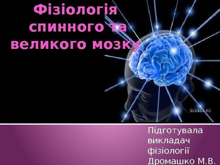 Фізіологія спинного та великого мозку Підготувала викладач фізіології Дромашко М. В.  