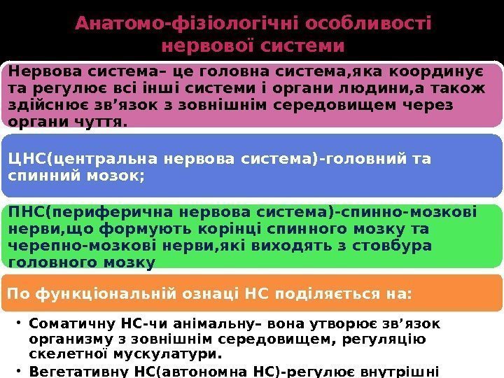 Анатомо-фізіологічні особливості нервової системи Нервова система– це головна система, яка координує та регулює всі