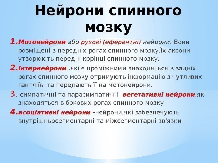 Нейрони спинного мозку 1. Мотонейрони або рухові (еферентні) нейрони.  Вони розміщені в передніх