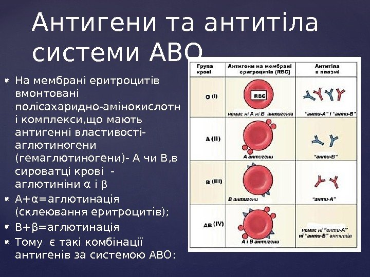 Агглютиногены 1 группы. Группы крови агглютинины. Группы крови таблица агглютинины и агглютиногены. Агглютиногены эритроцитов таблица. Агглютиноген а содержится в крови.