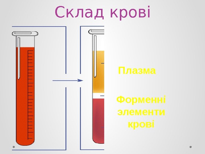 Склад крові Плазма Форменні элементи крові 