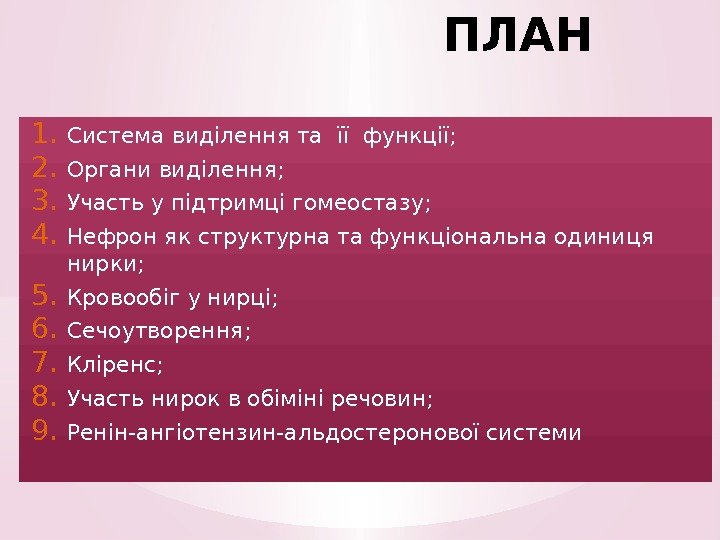 ПЛАН 1. Система виділення та її функції; 2. Органи виділення; 3. Участь у підтримці