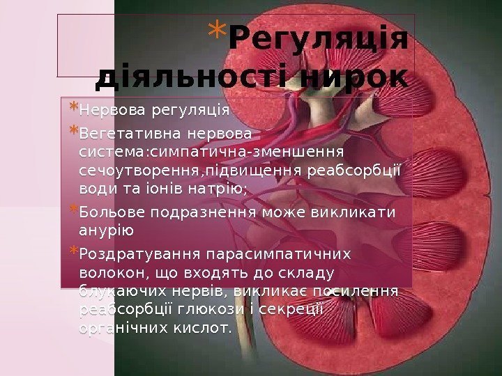 * Регуляція діяльності нирок * Нервова регуляція * Вегетативна нервова система: симпатична-зменшення сечоутворення, підвищення