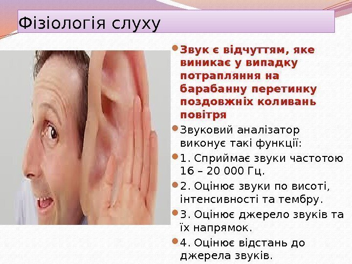 Фізіологія слуху Звук є відчуттям, яке виникає у випадку потрапляння на барабанну перетинку поздовжніх