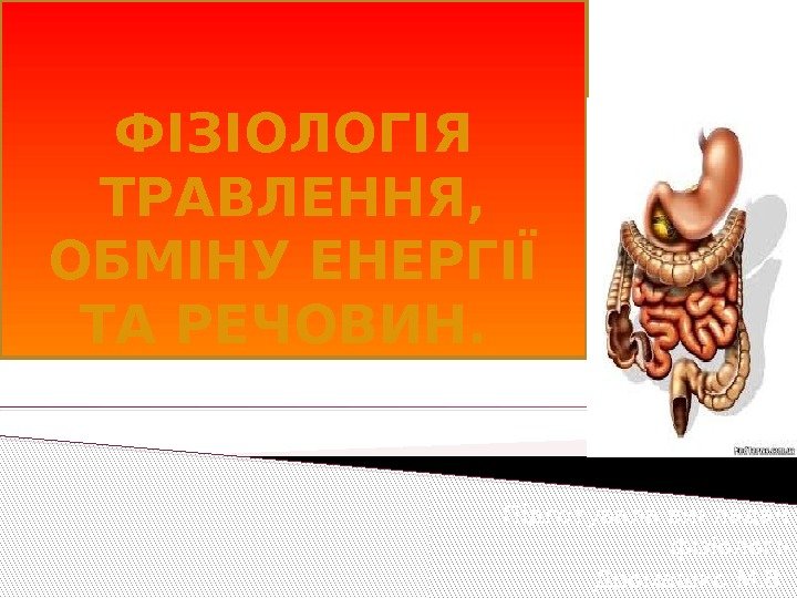 ФІЗІОЛОГІЯ ТРАВЛЕННЯ,  ОБМІНУ ЕНЕРГІЇ ТА РЕЧОВИН.  Підготувала викладач фізіології Дромашко М. В.