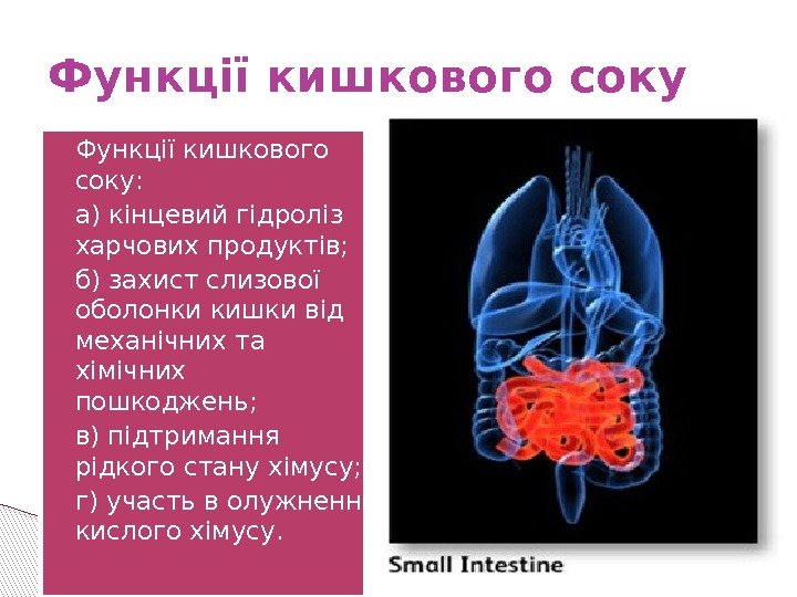  Функції кишкового соку:  а) кінцевий гідроліз харчових продуктів;  б) захист слизової