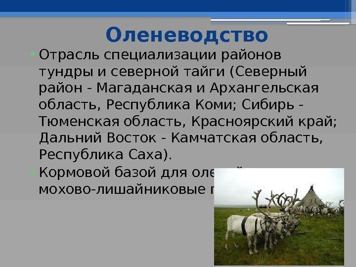 Оленеводство • Отрасль специализации районов тундры и северной тайги (Северный район - Магаданская и