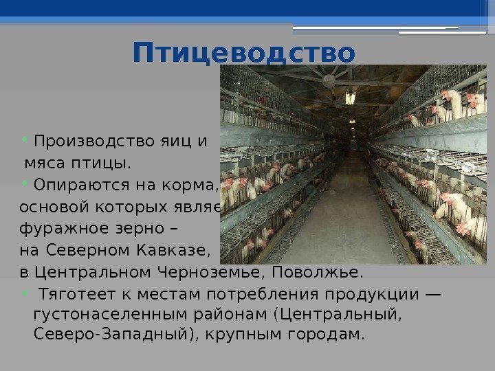 Птицеводство • Производство яиц и  мяса птицы.  • Опираются на корма, 