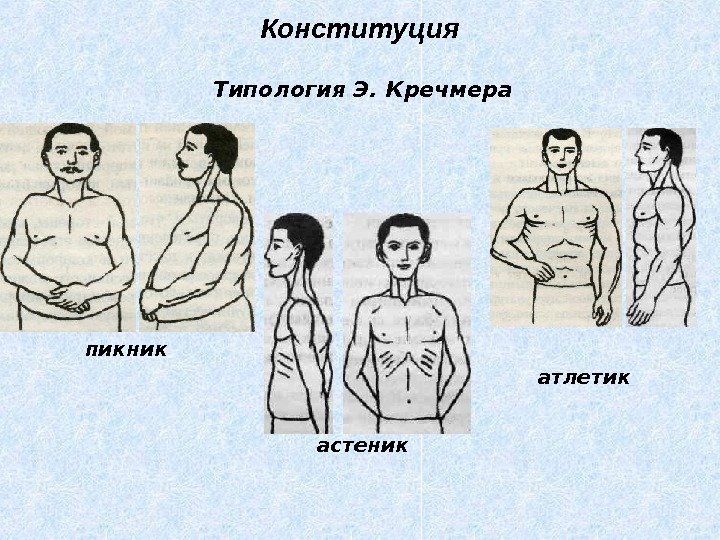 Конституция пикник астеник атлетик. Типология Э. Кречмера 