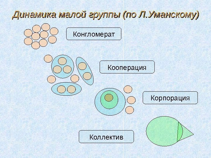 Динамика малой группы (по Л. Уманскому) Конгломерат Кооперация Корпорация Коллектив +   