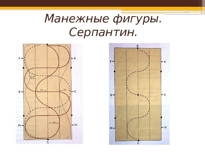 Тест для начинающих схема езды