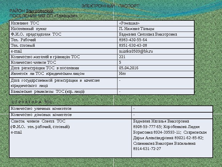 ЭЛЕКТРОННЫЙ  ПАСПОРТ РАЙОН Заиграевский  ПОСЕЛЕНИЕ МО СП «Талецкое» Название ТОС «Ромашка» Населенный