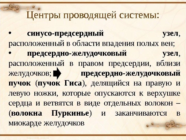 Центры проводящей системы :  • синусо-предсердный узел ,  расположенный в области впадения