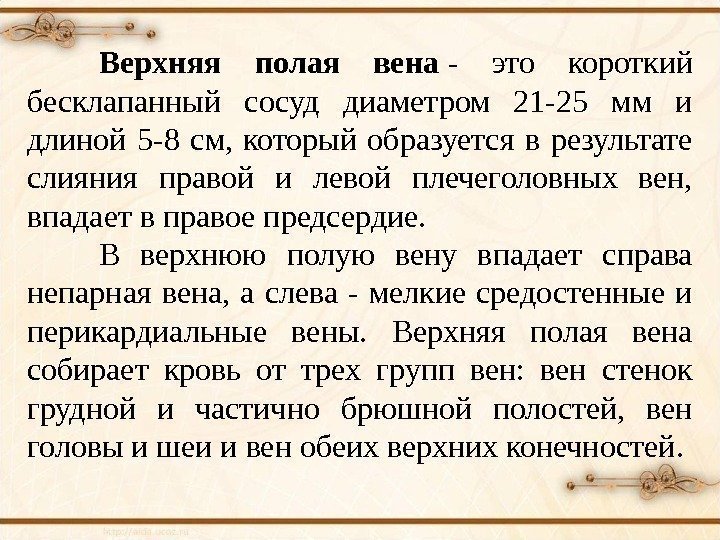 Верхняя полая вена - это короткий бесклапанный сосуд диаметром 21 -25 мм и длиной