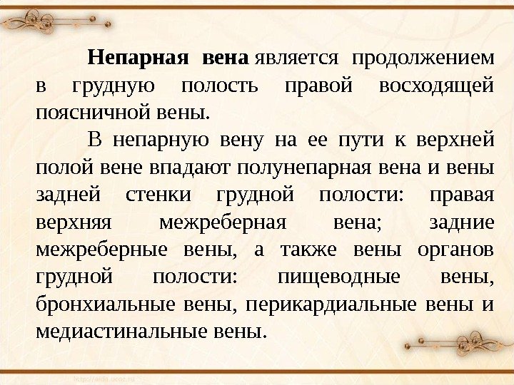 Непарная вена является продолжением в грудную полость правой восходящей поясничной вены.  В непарную