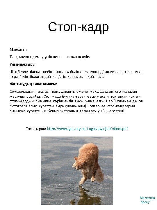 Стоп-кадр Толығырақ:  http: //www. lgec. org. uk/Laga. News/jun 04 tool. pdf Мақсаты :