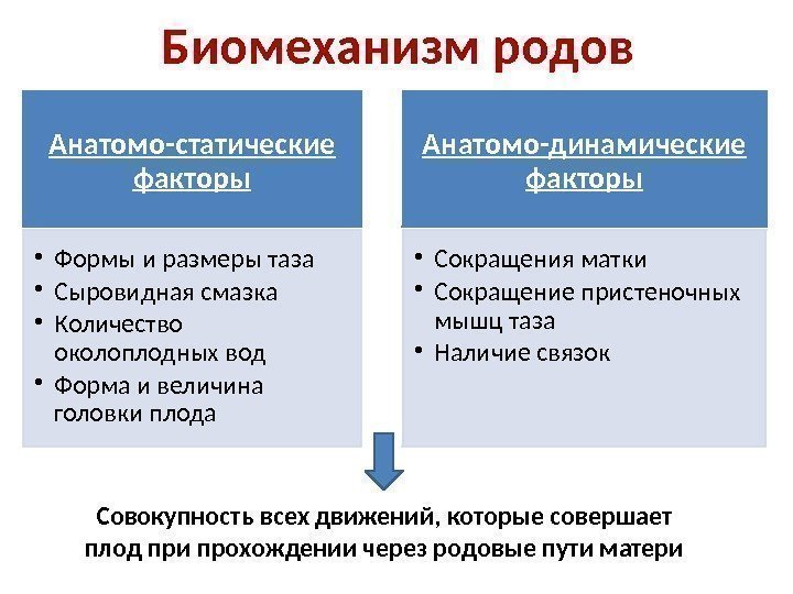 Биомеханизм родов Анатомо-статические факторы • Формы и размеры таза • Сыровидная смазка • Количество