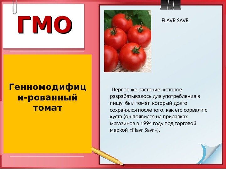 ГМОГМО Генномодифиц и-рованный томат FLAVR SAVR Первое же растение, которое разрабатывалось для употребления в