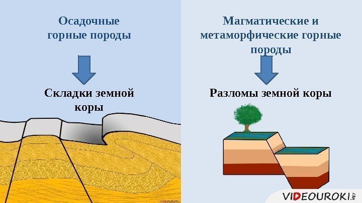 Осадочные горные породы Складки земной коры Магматические и метаморфические горные породы Разломы земной коры
