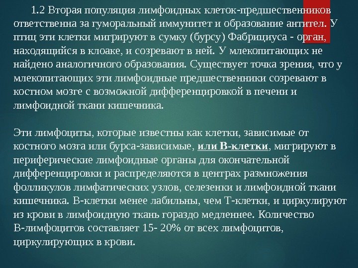   1. 2 Вторая популяция лимфоидных клеток-предшественников ответственна за гуморальный иммунитет и образование