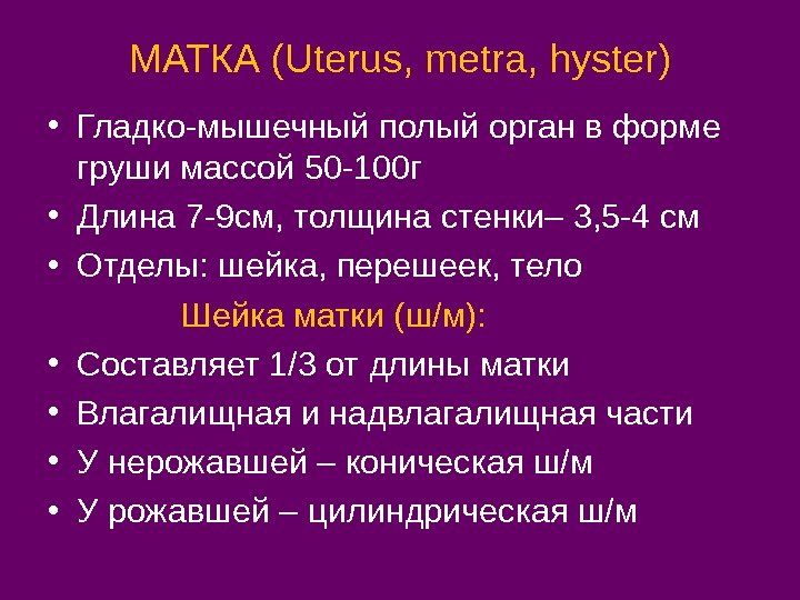 МАТКА ( Uterus, metra, hyster) • Гладко-мышечный полый орган в форме груши массой 50