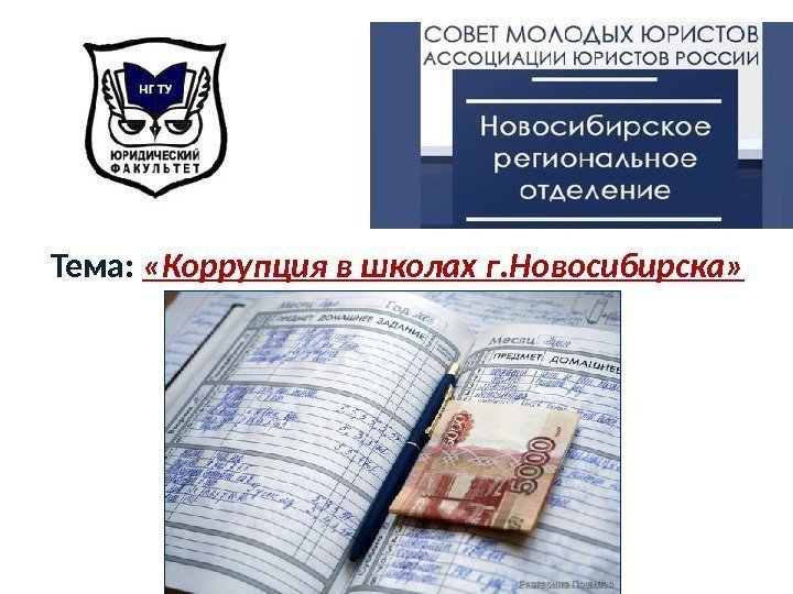 Тема:  «Коррупция в школах г. Новосибирска» 